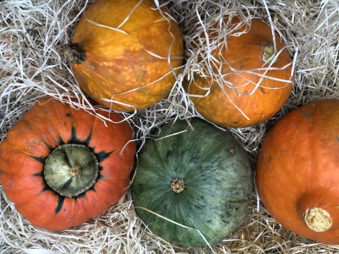 Dekorační dřevitá vlna - 1kg