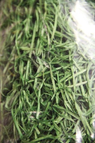 Dekorační dřevitá vlna - zelená, 200 g
